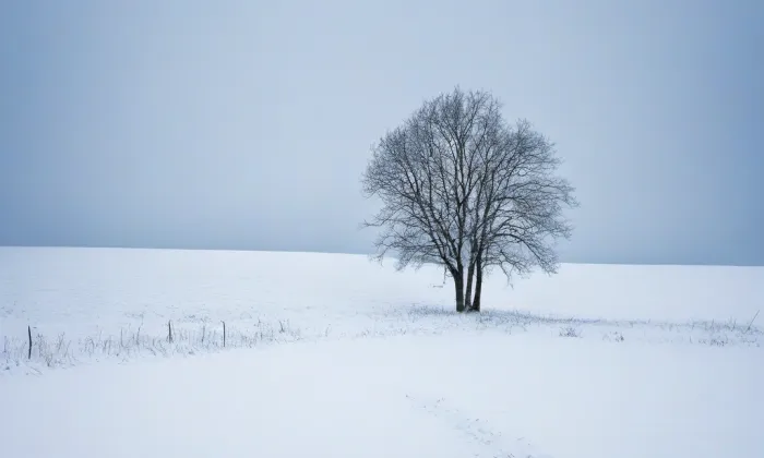 kostel Nejsvětější Trojice (Chrastavec) – winter