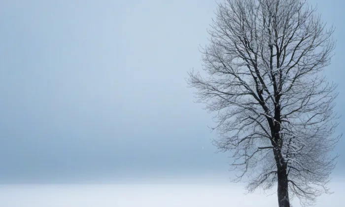 kostel Nejsvětější Trojice (Drnholec) – winter
