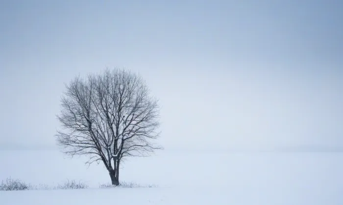Kostel Nejsvětější Trojice (Hlavnice) – winter