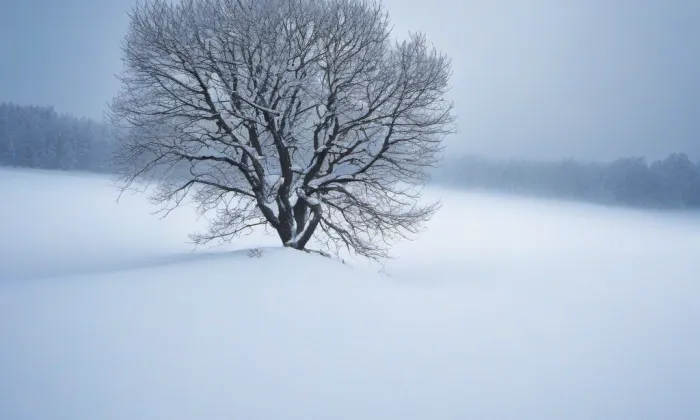 kostel Nejsvětější Trojice (Jezná) – winter