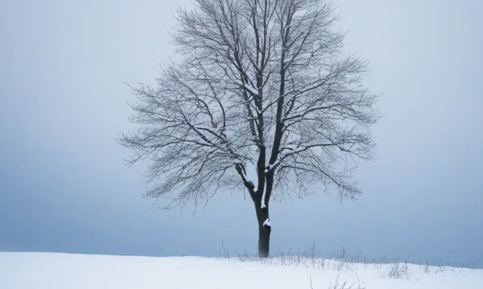Kostel Nejsvětější Trojice (Kopřivná) – winter