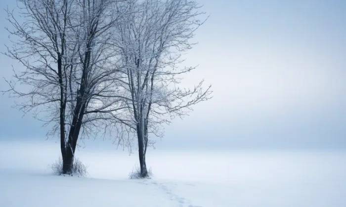 Kostel Nejsvětější Trojice (Litíč) – winter