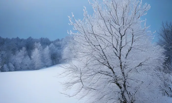 Kostel Nejsvětější Trojice (Loukov) – winter