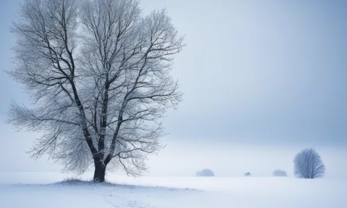 Kostel Nejsvětější Trojice (Mešno) – winter