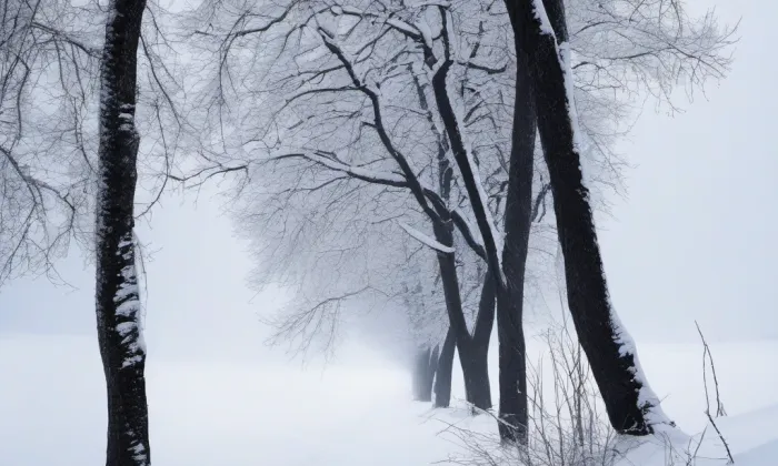 Kostel Nejsvětější Trojice (Roprachtice) – winter