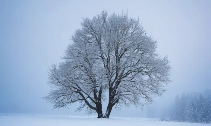 kostel Nejsvětější Trojice (Střelice) – winter
