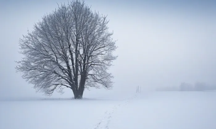 kostel Nejsvětější Trojice (Vladislav) – winter