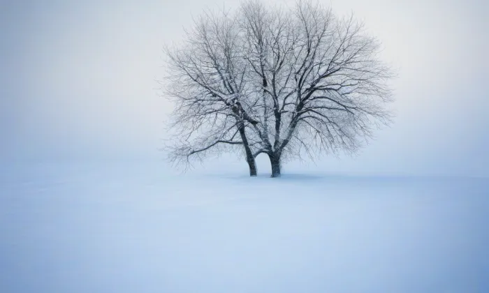 kostel Nejsvětější Trojice v Hořovicích – winter