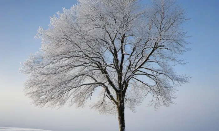 kostel Nejsvětější Trojice ve Vratislavicích nad Nisou – winter