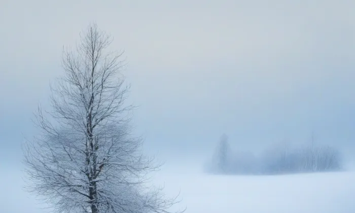 Kostel Nejsvětějšího Jména Ježíš (Křišťanov) – winter