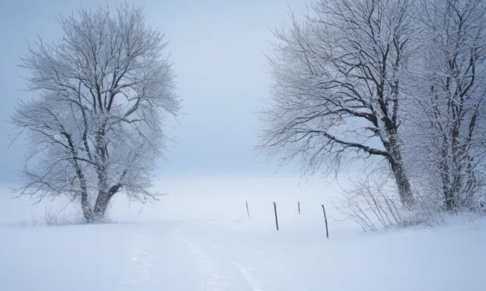 Kostel Nejsvětějšího Salvátora na Starém Městě – winter