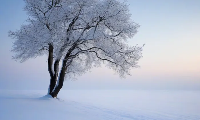 Kostel Nejsvětějšího Spasitele – winter