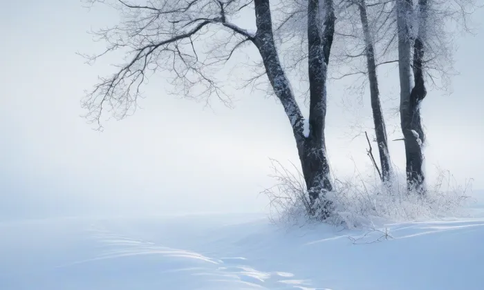 Kostel Nejsvětějšího Srdce Ježíšova (Jablonec nad Nisou) – winter