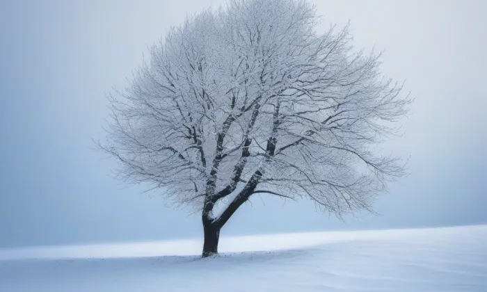 Kostel Nejsvětějšího Srdce Ježíšova v Horním Maxově – winter