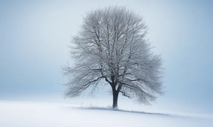 Kostel Nejsvětějšího Srdce Ježíšova ve Vejprtech – winter