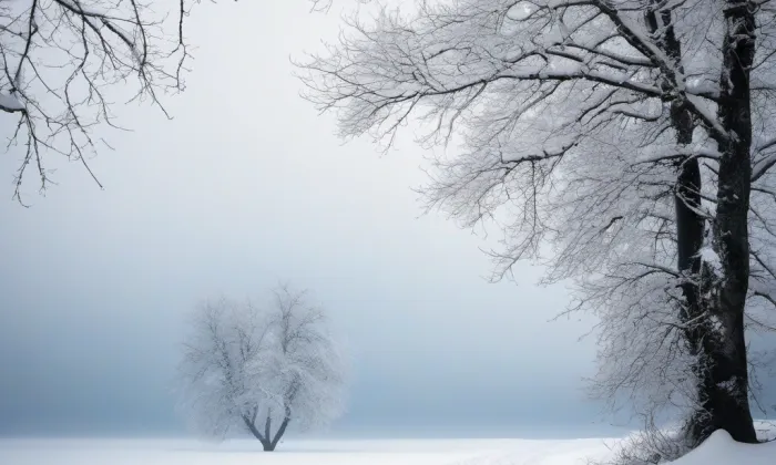 Kostel Nejsvětějšího Srdce Páně (Stříbrná) – winter