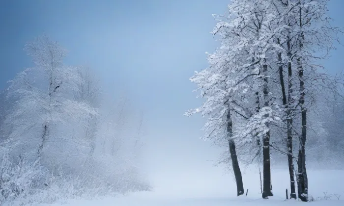 Kostel Nejsvětějšího Srdce Páně v Praze – winter