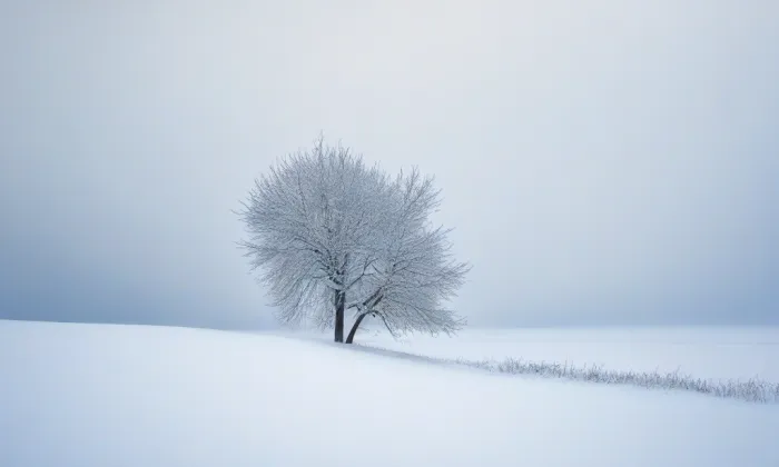 Kostel Neposkvrněného početí Panny Marie (Zvole) – winter