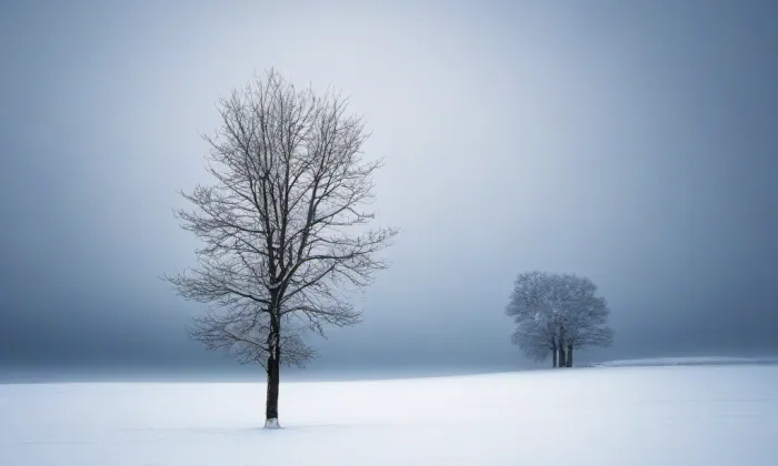 Kostel Neposkvrněného početí Panny Marie (Siřem) – winter