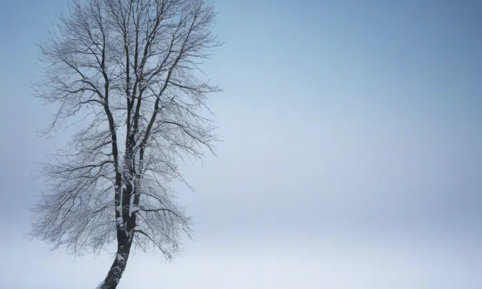 kostel Neposkvrněného početí Panny Marie (Trnitá) – winter