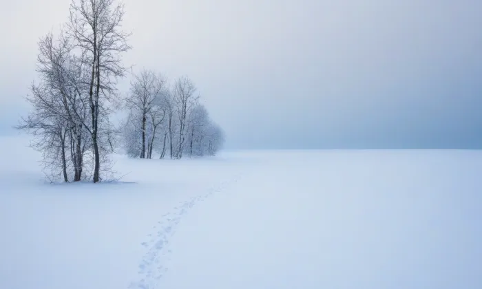 Kostel Panny Marie, královny posvátného růžence – winter