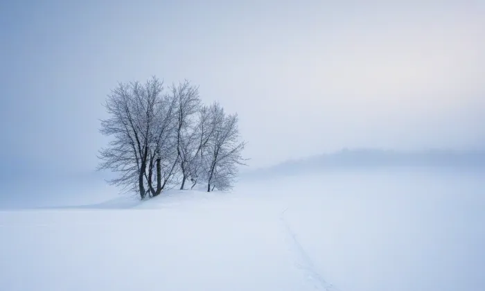 Kostel Panny Marie (Osice) – winter