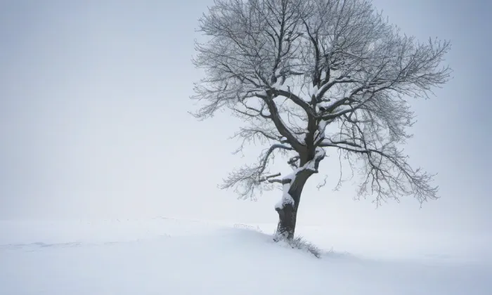 Kostel Panny Marie Andělské na Hradčanech – winter