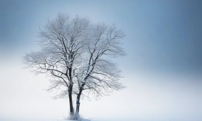 kostel Panny Marie Bolestné de Sale – winter