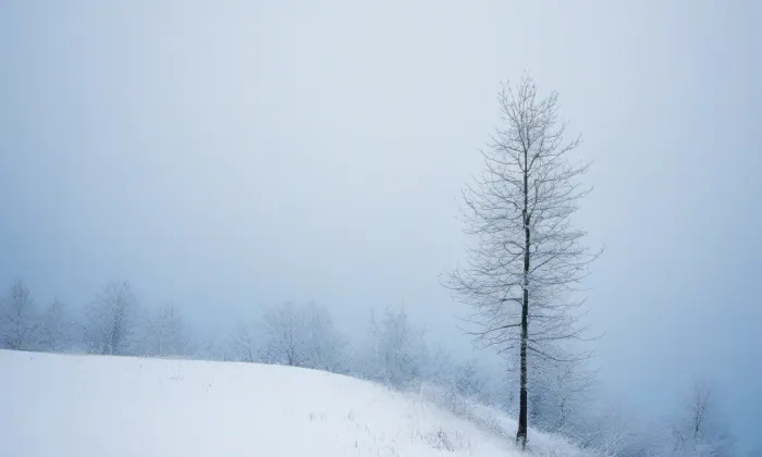 Kostel Panny Marie Královny Andělů – winter
