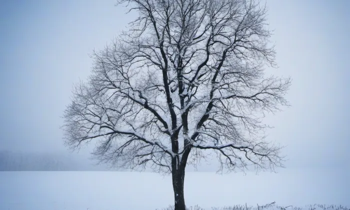 Kostel Panny Marie Královny míru – winter