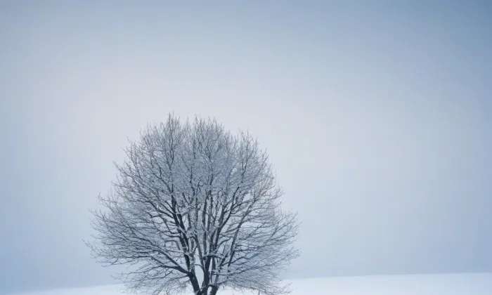 kostel Panny Marie Matky jednoty křesťanů – winter