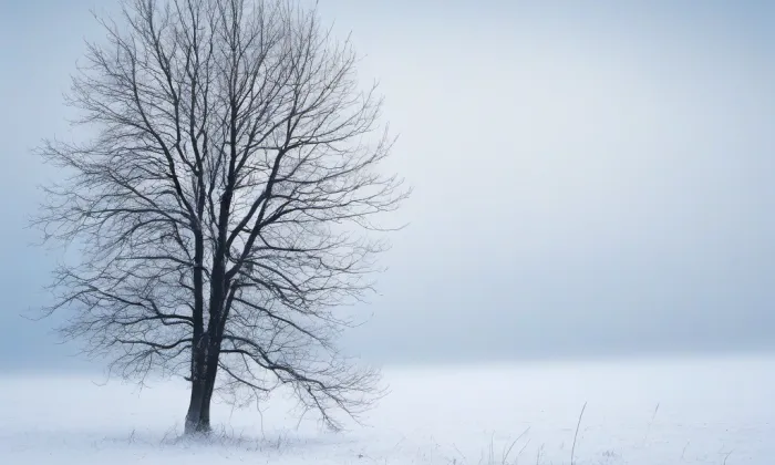 kostel Panny Marie Sedmibolestné v Týnci nad Labem – winter
