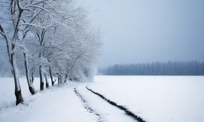 Kostel Panny Marie Sněžné (Praha) – winter