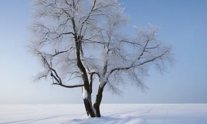 Kostel Panny Marie Vítězné a svatého Antonína Paduánského – winter