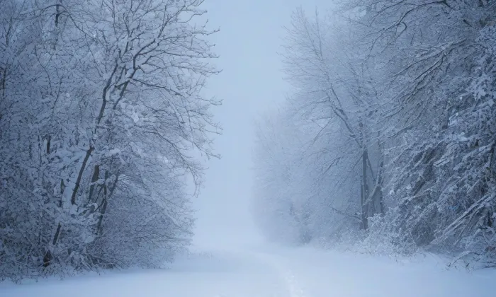 Kostel Panny Marie Vítězné na Bílé Hoře – winter