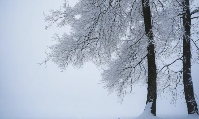 Kostel Panny Marie v Telči – winter