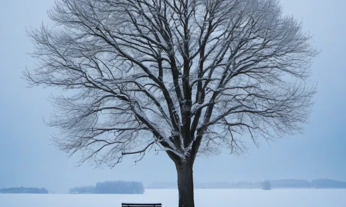 kostel Povýšení svatého Kříže (Údlice) – winter