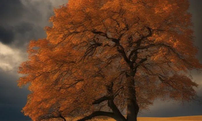 kostel Povýšení svatého Kříže (Židlochovice) – autumn