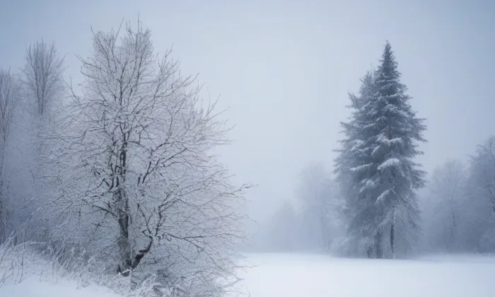 kostel Povýšení svatého Kříže (Židlochovice) – winter