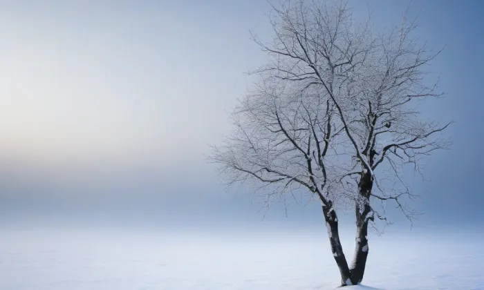 Kostel Povýšení svatého Kříže (Chuchelna) – winter