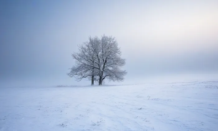 Kostel Povýšení svatého Kříže (Dobříš) – winter
