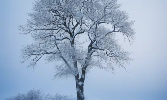 Kostel Povýšení svatého Kříže (Nový Kostel) – winter