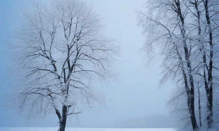 Kostel Povýšení svatého Kříže (Ostružno) – winter