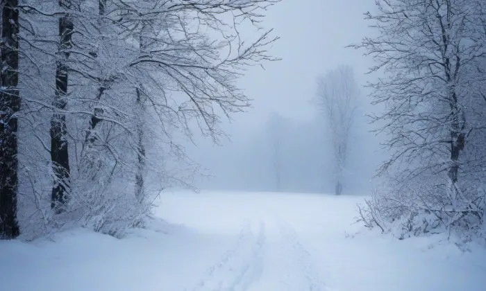 kostel Povýšení svatého Kříže (Třebosice) – winter