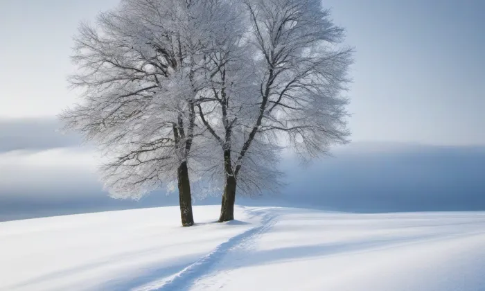 Kostel Povýšení svatého Kříže (Vinoř) – winter