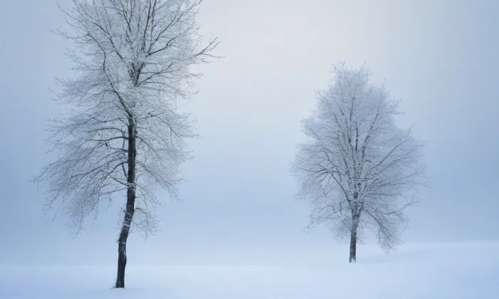 kostel Povýšení svatého Kříže v Poděbradech – winter