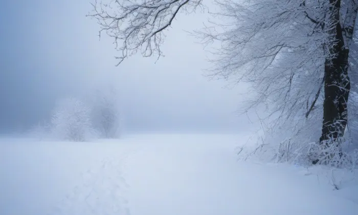 Kostel Proměnění Páně (Pacelice) – winter