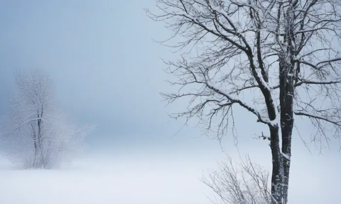 Kostel Proměnění Páně a svatého Mikuláše – winter
