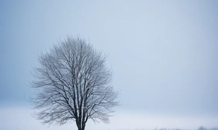 Kostel Proměnění Páně na hoře Tábor – winter