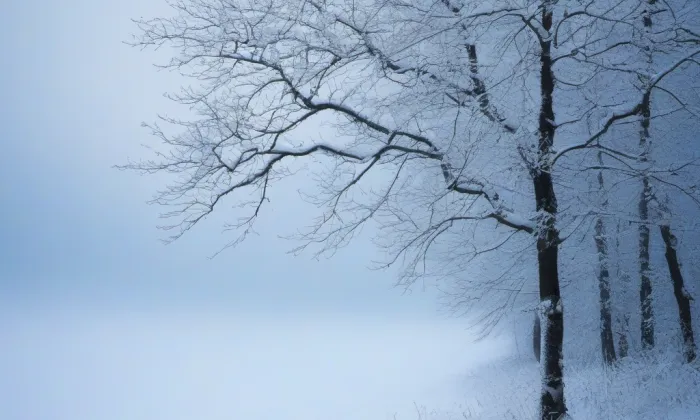 Kostel Rozeslání svatých Apoštolů (Smilovy Hory) – winter